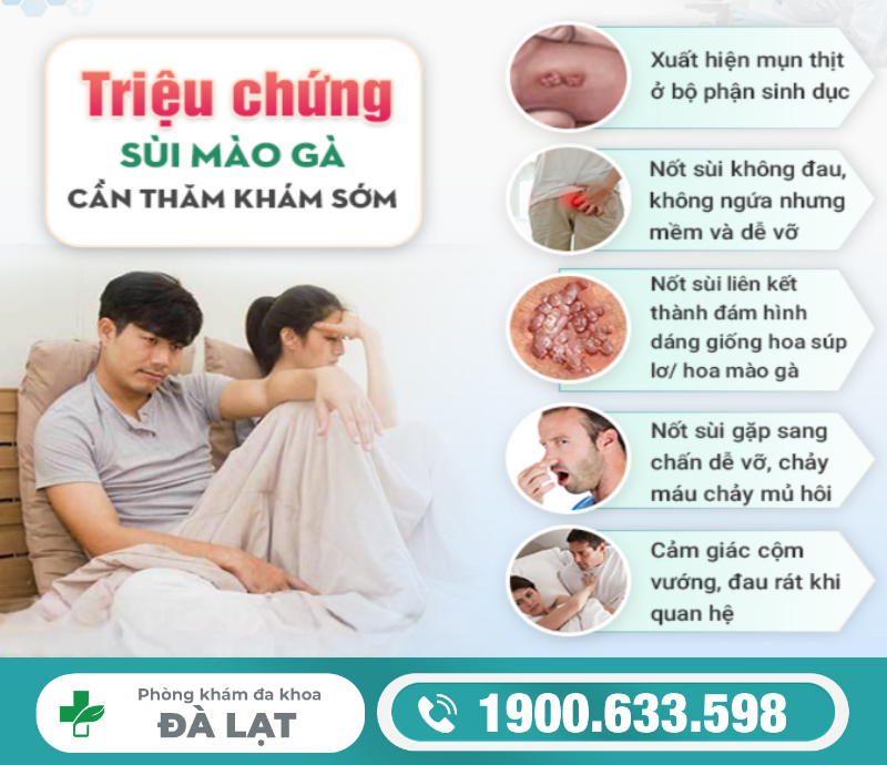 Hình ảnh minh họa